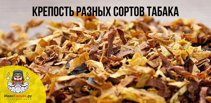 Крепость разных сортов табака